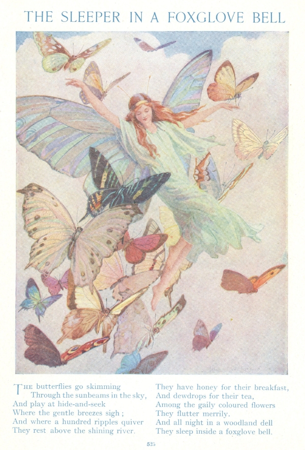 The Sleeper in a Foxglove Bell - Vintage Fairy and Butterfly Illustration (1925)